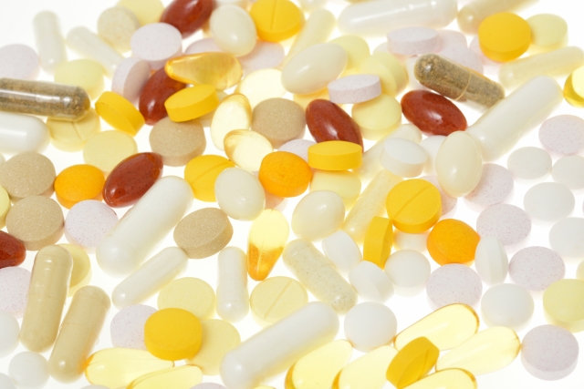 高齢犬に適したストレス軽減フードの選び方に関連する犬のイメージ