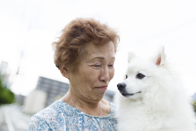 ストレスサインを見逃さない！行動や体調の変化とは？に関連する犬のイメージ