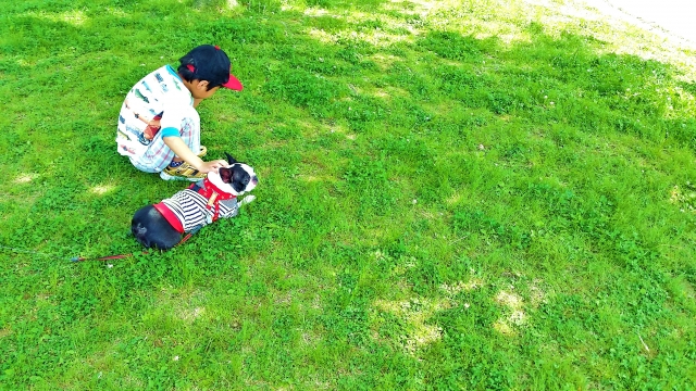 一緒のペースで散歩を楽しむ