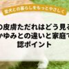 老犬の皮膚ただれはどう見る？赤み・かゆみとの違いと家庭での確認ポイント