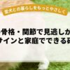 老犬の骨格・関節で見逃しがちな6つのサインと家庭でできる確認法
