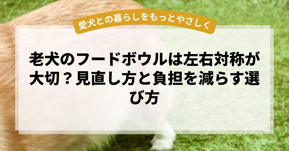 老犬のフードボウルは左右対称が大切？見直し方と負担を減らす選び方