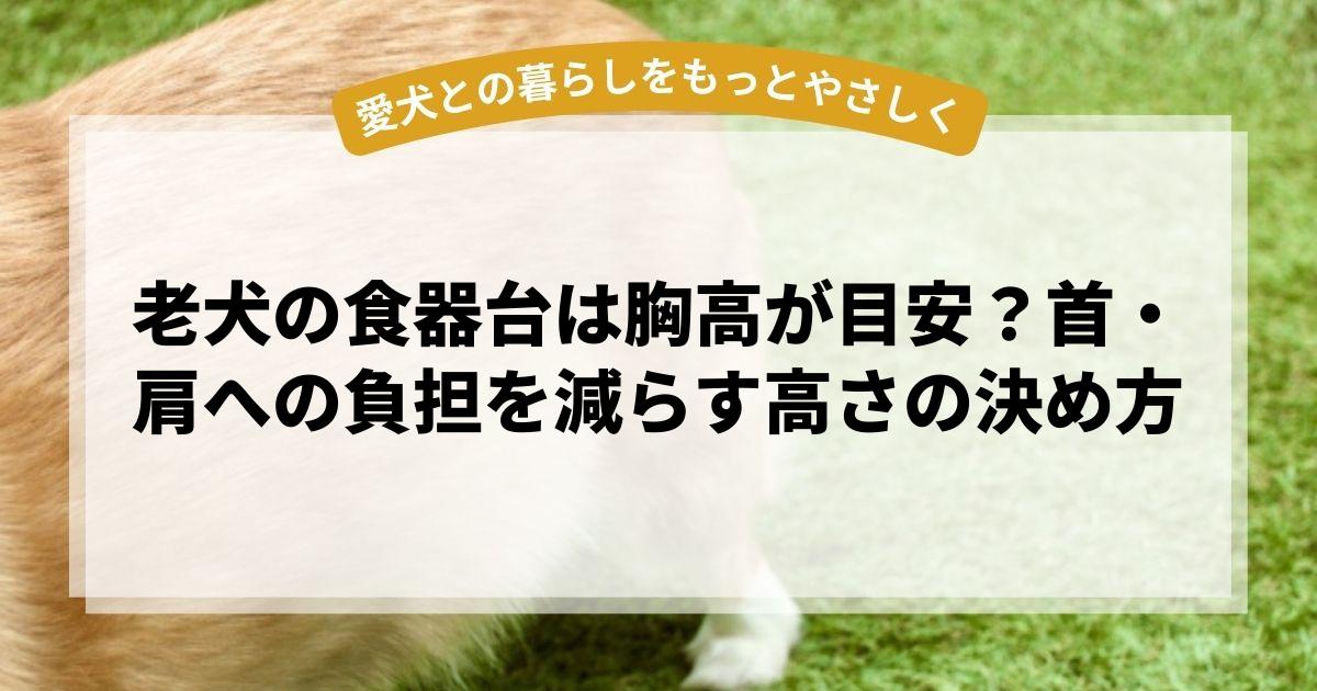 老犬の食器台は胸高が目安？首・肩への負担を減らす高さの決め方