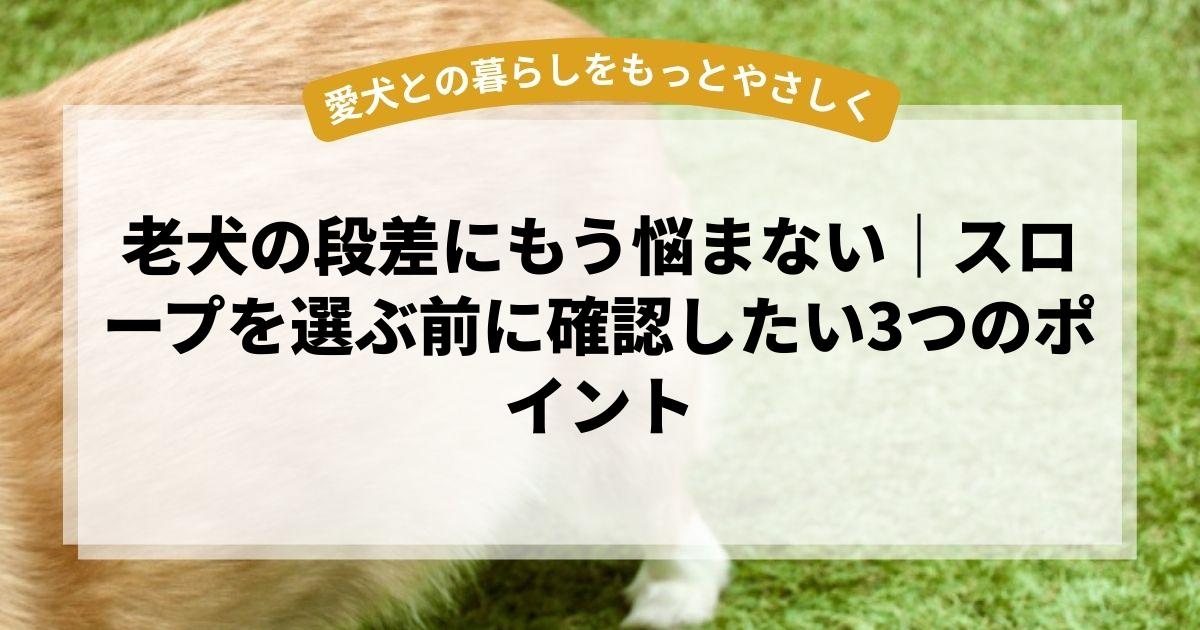 老犬の段差にもう悩まない｜スロープを選ぶ前に確認したい3つのポイント