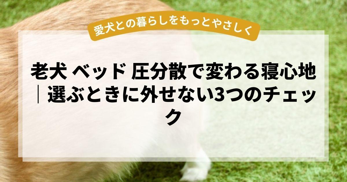 老犬 ベッド 圧分散で変わる寝心地｜選ぶときに外せない3つのチェック