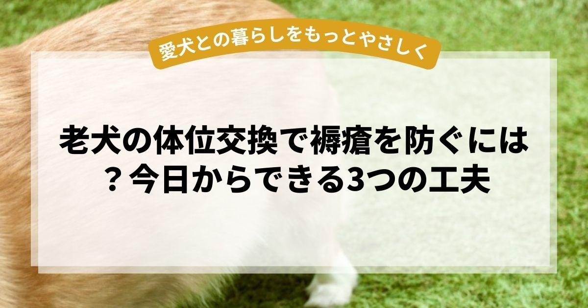 老犬の体位交換で褥瘡を防ぐには？今日からできる3つの工夫