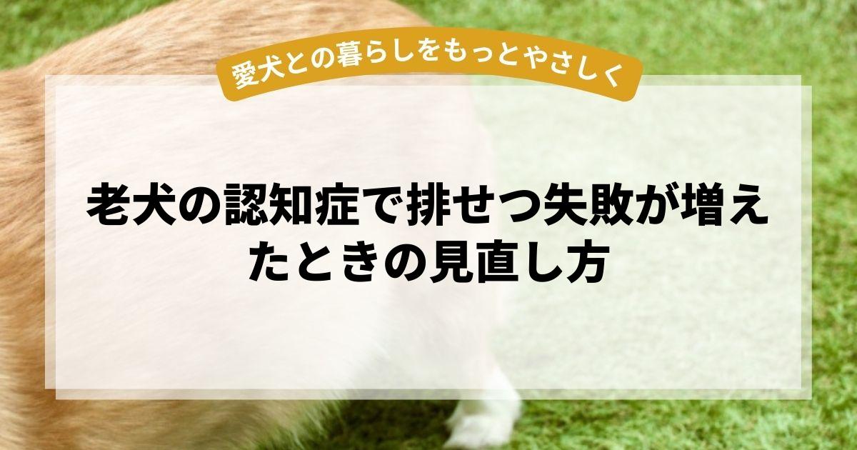 老犬の認知症で排せつ失敗が増えたときの見直し方