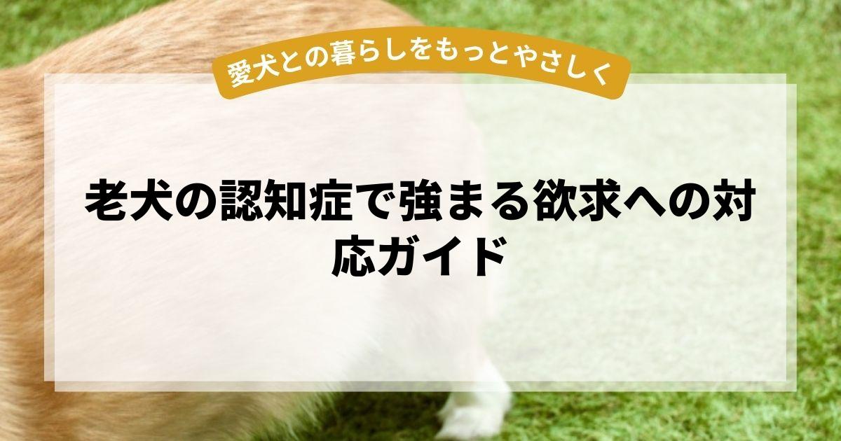 老犬の認知症で強まる欲求への対応ガイド