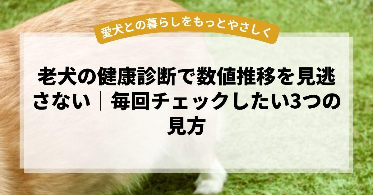 老犬の健康診断で数値推移を見逃さない｜毎回チェックしたい3つの見方