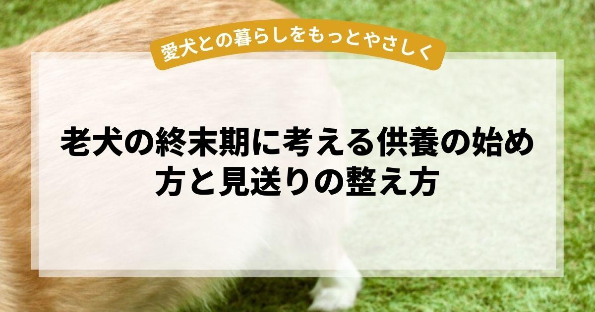 老犬の終末期に考える供養の始め方と見送りの整え方