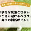 老犬の禁忌を見落とさない：急性炎症のときに避けるべきケアと家庭での判断ポイント