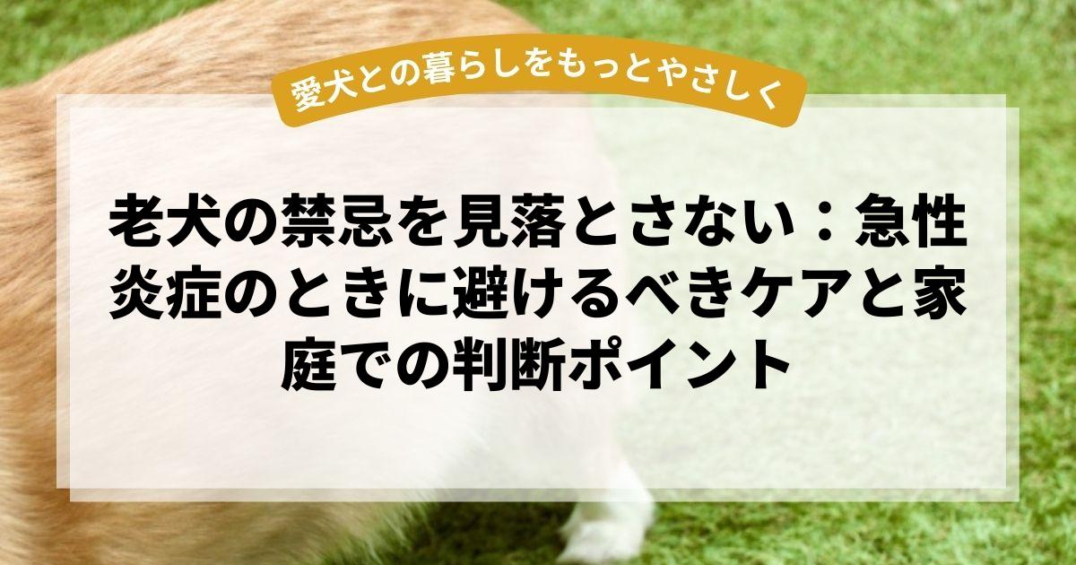 老犬の禁忌を見落とさない：急性炎症のときに避けるべきケアと家庭での判断ポイント