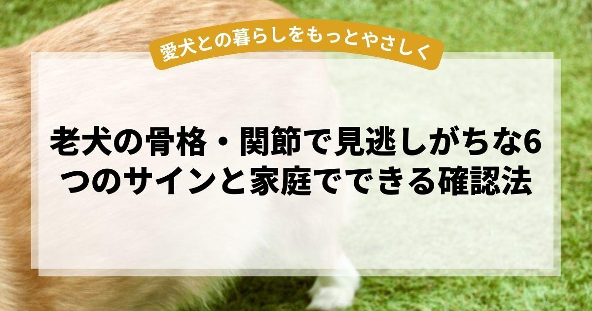 老犬の骨格・関節で見逃しがちな6つのサインと家庭でできる確認法