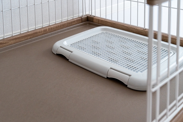 整ったトイレ環境